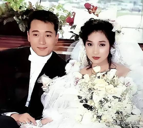 苗侨伟粉丝_苗侨伟退出娱乐圈_苗侨伟问题娱乐圈